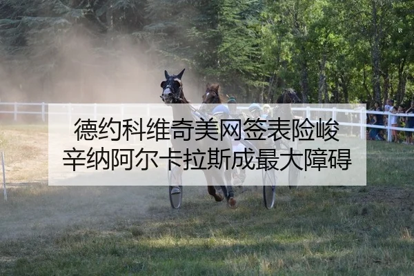 德约科维奇美网签表险峻 辛纳阿尔卡拉斯成最大障碍